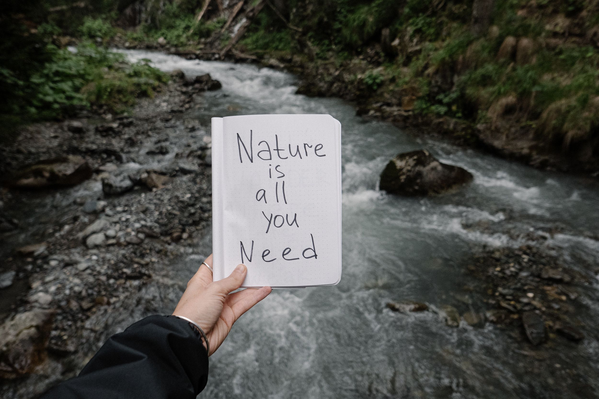 Someone with a sign: 